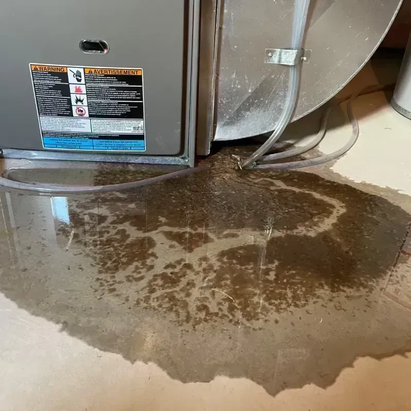 Appliance Leak Cleanup in New Baden, IL